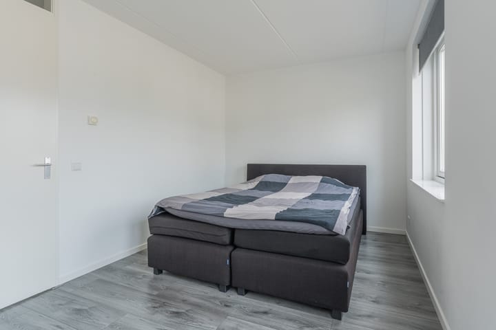 Foto 24 van Penningkruid 12