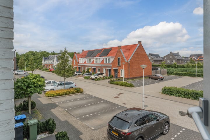 Foto 26 van Penningkruid 12