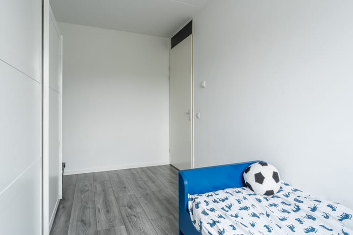 Foto 30 van Penningkruid 12