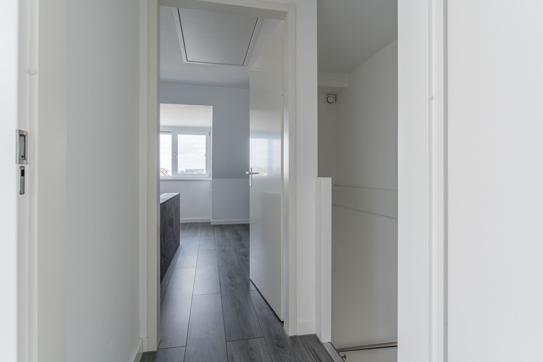 Photo 36 of Penningkruid 12