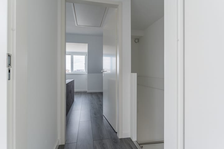 Foto 36 van Penningkruid 12