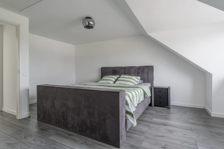 Foto 38 van Penningkruid 12