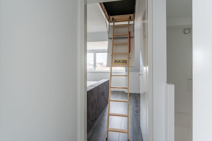 Foto 41 van Penningkruid 12