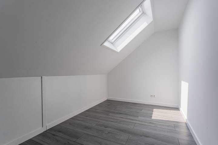 Foto 42 van Penningkruid 12