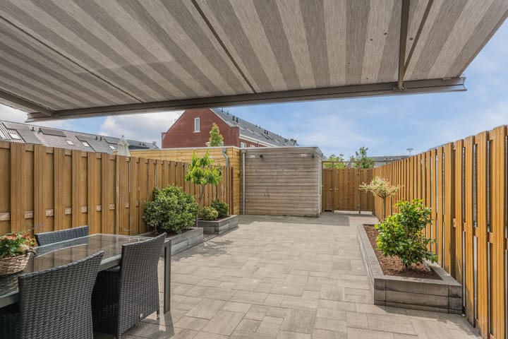 Foto 45 van Penningkruid 12