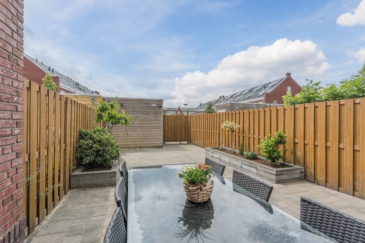 Foto 46 van Penningkruid 12