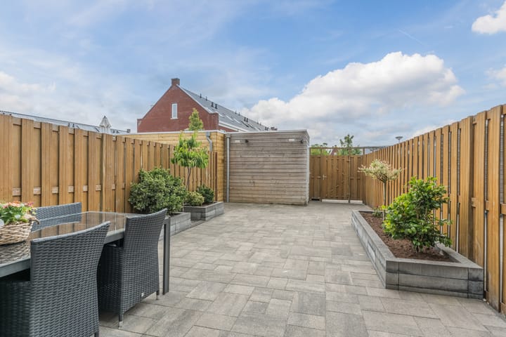 Foto 47 van Penningkruid 12