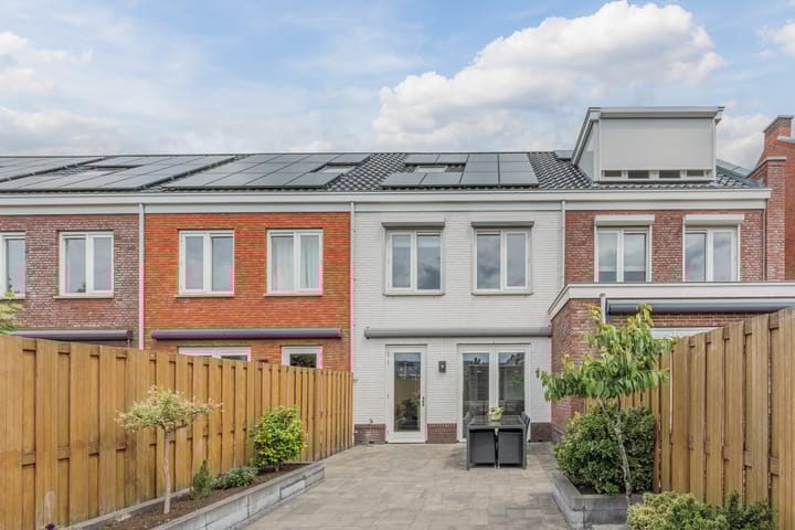 Foto 50 van Penningkruid 12