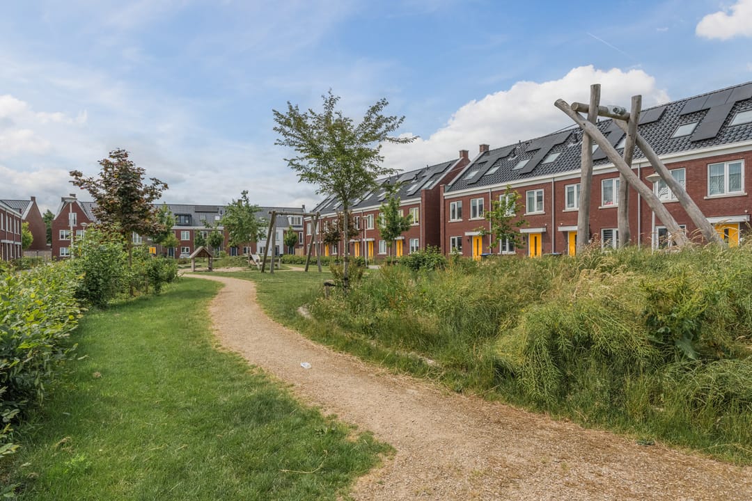 Photo 53 of Penningkruid 12