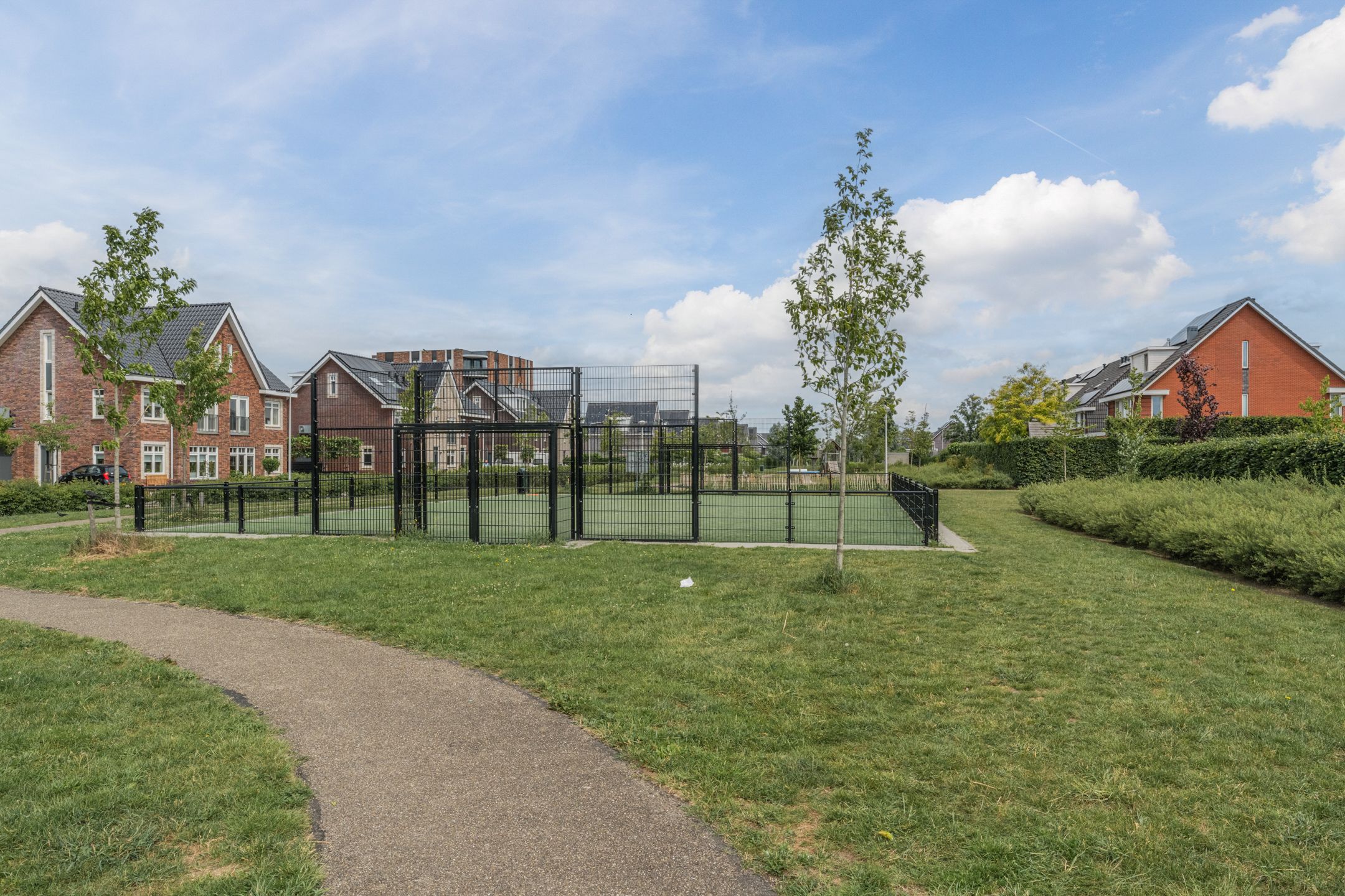 Photo 54 of Penningkruid 12