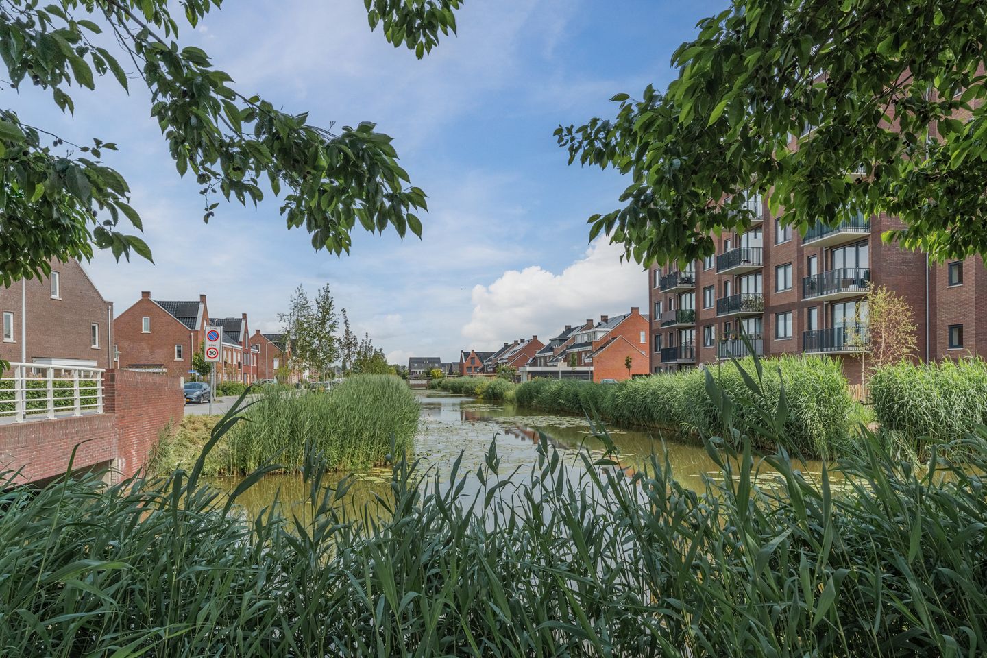 Photo 55 of Penningkruid 12