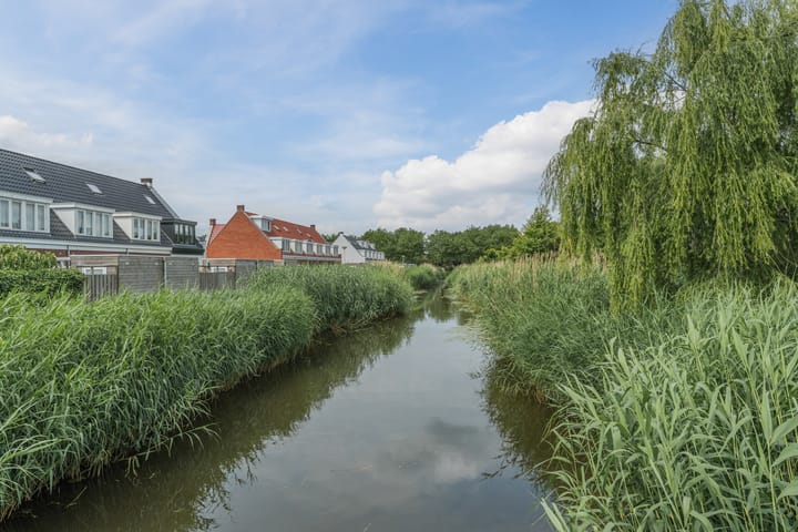 Foto 56 van Penningkruid 12