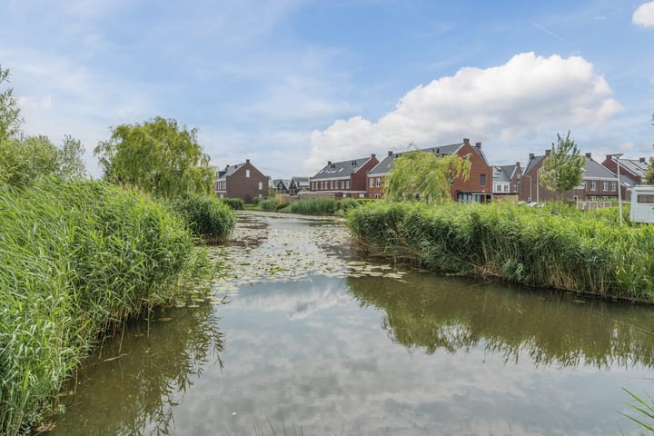 Foto 57 van Penningkruid 12