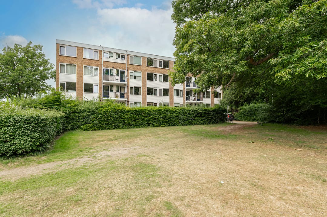 Photo 2 of Kombos 25