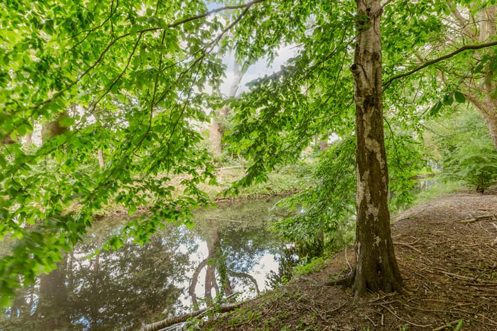 Foto 5 van Startbaan 548