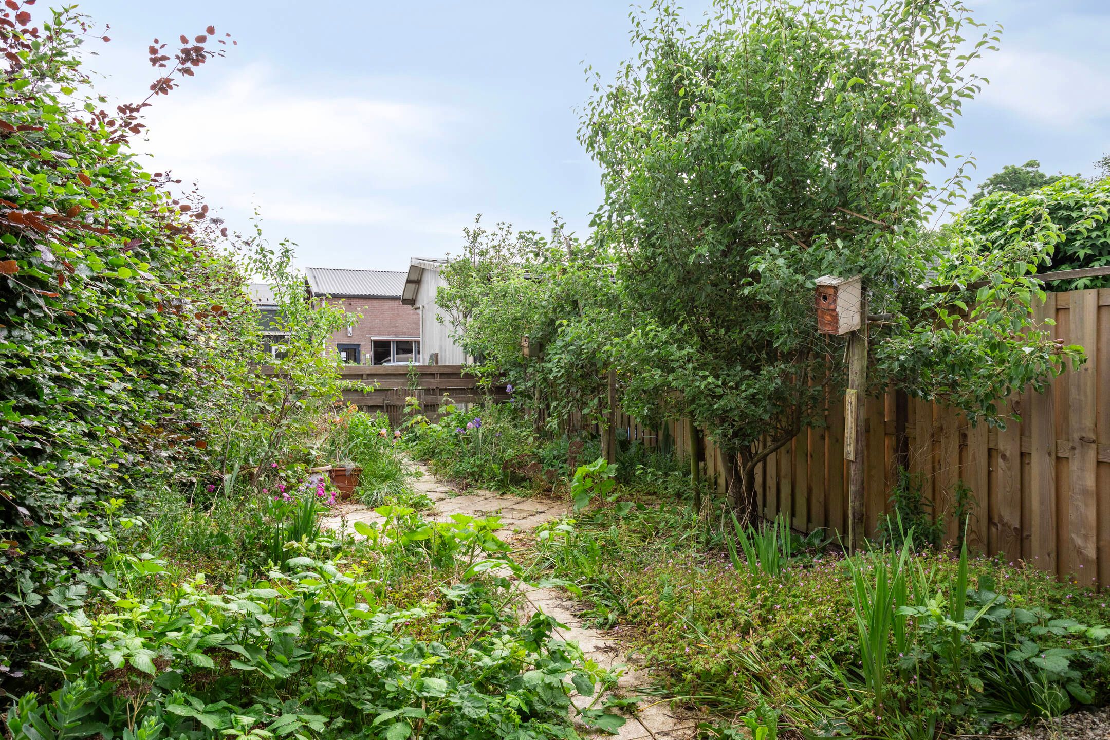 Photo 30 of Selijnsweg 18