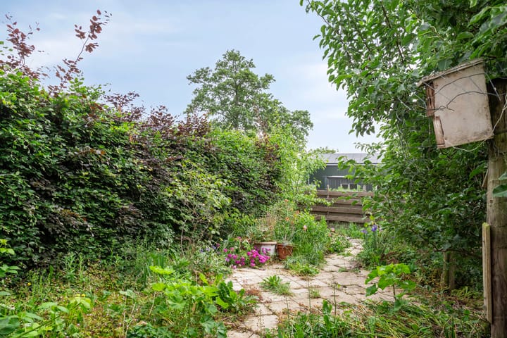 Photo 31 of Selijnsweg 18