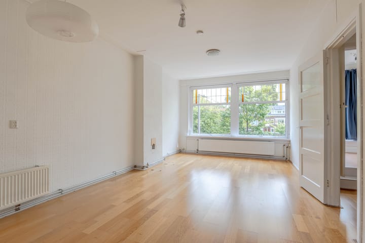 Foto 2 van Boergoensevliet 49-B