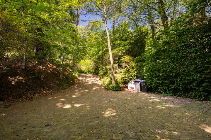 Photo 62 of Soestdijkseweg Noord 410