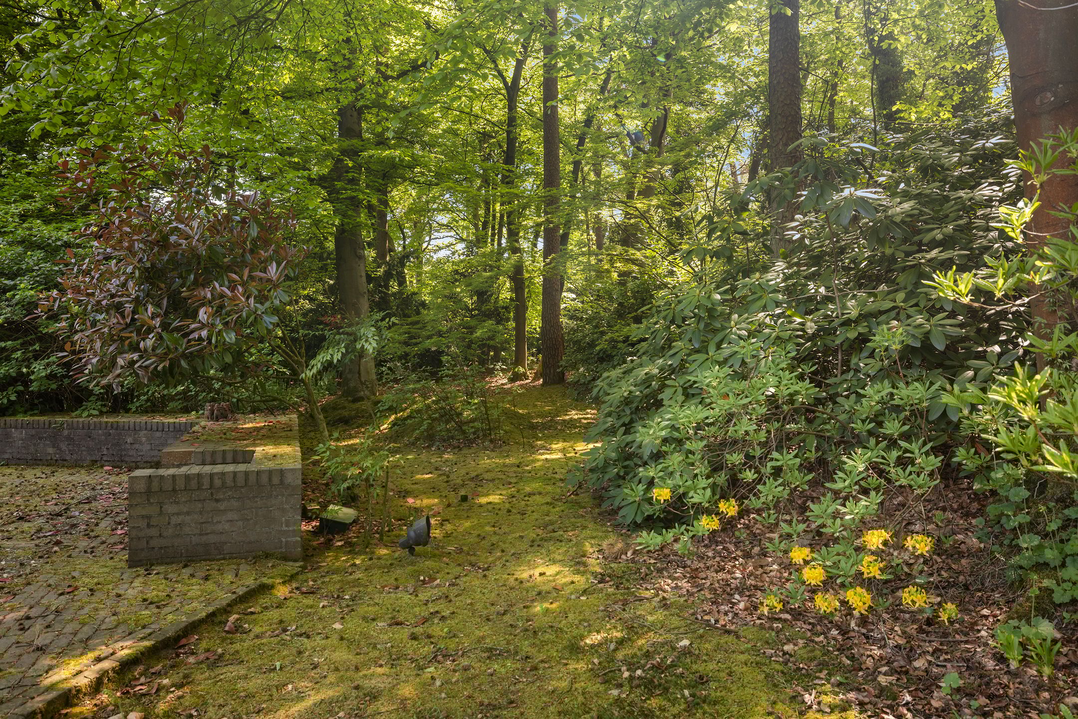 Foto 66 van Soestdijkseweg Noord 410