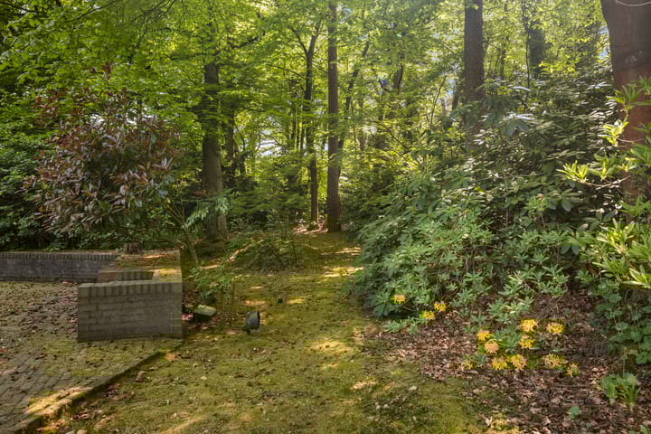 Photo 66 of Soestdijkseweg Noord 410