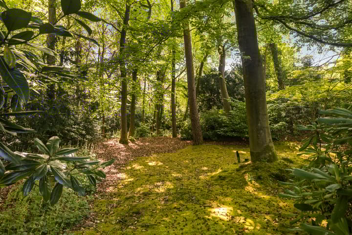 Photo 67 of Soestdijkseweg Noord 410