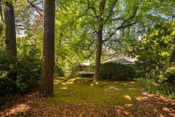 Photo 68 of Soestdijkseweg Noord 410