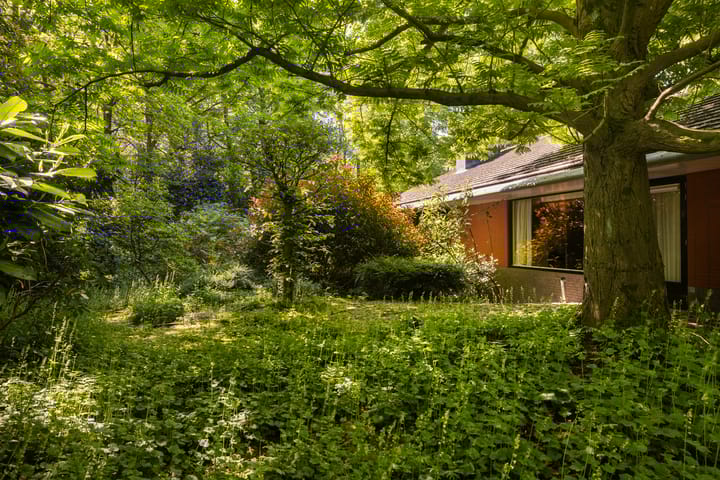 Photo 71 of Soestdijkseweg Noord 410