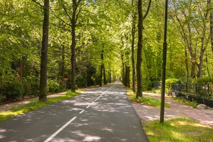 Photo 72 of Soestdijkseweg Noord 410