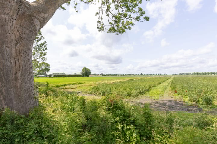 Foto 7 van Kerkweg 59