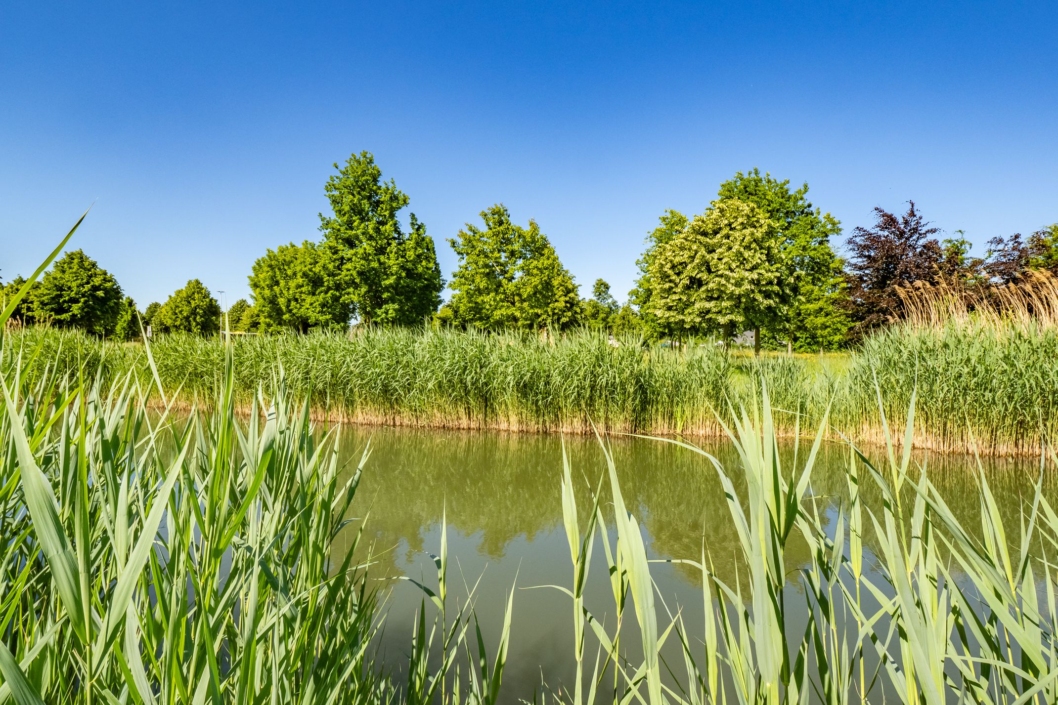 Foto 33 van Atalantahof 38