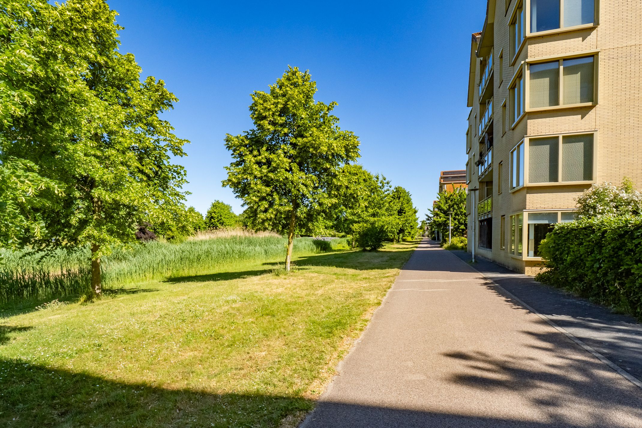 Foto 39 van Atalantahof 38