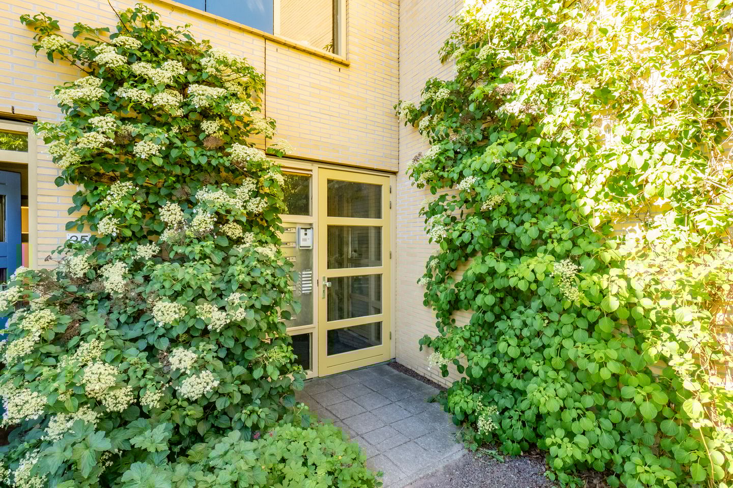 Foto 40 van Atalantahof 38