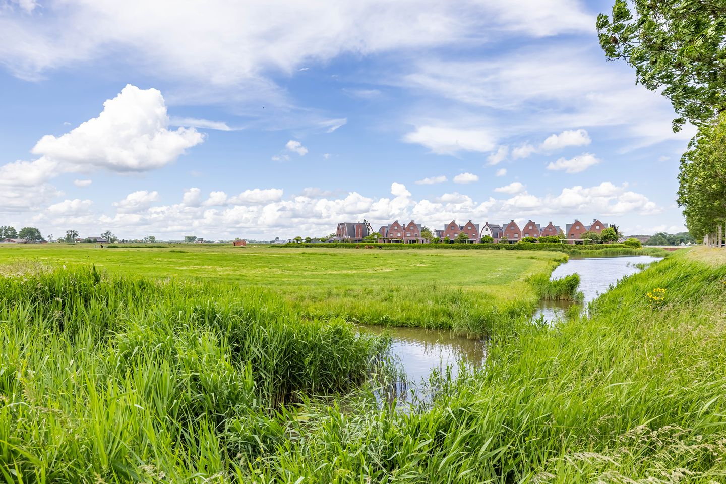 Photo 50 of Beswerd 5