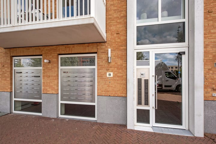 Foto 28 van Westerschelde 11