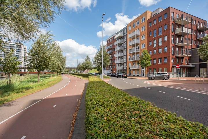 Foto 30 van Westerschelde 11