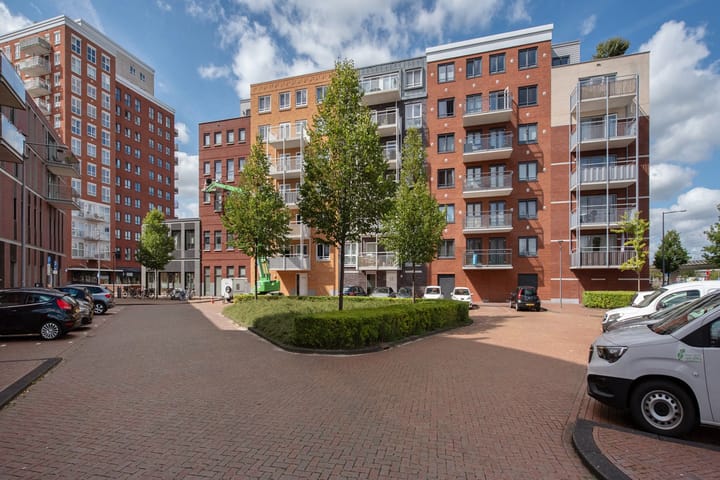 Foto 31 van Westerschelde 11