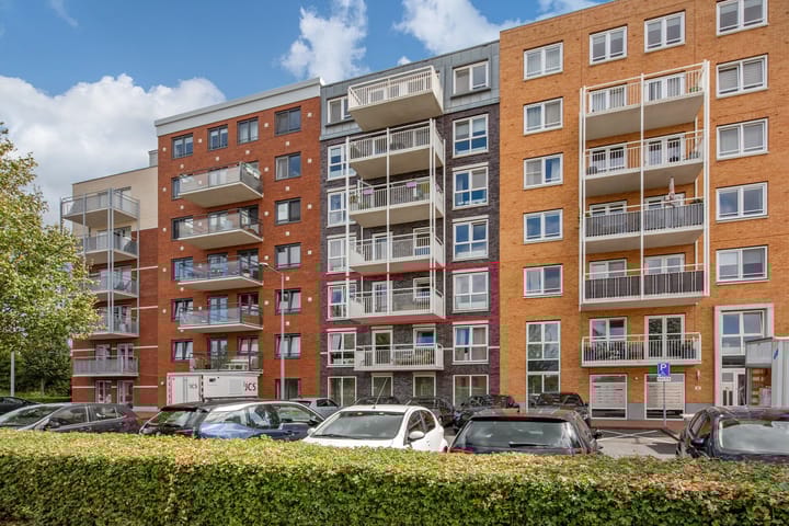 Foto 1 van Westerschelde 11