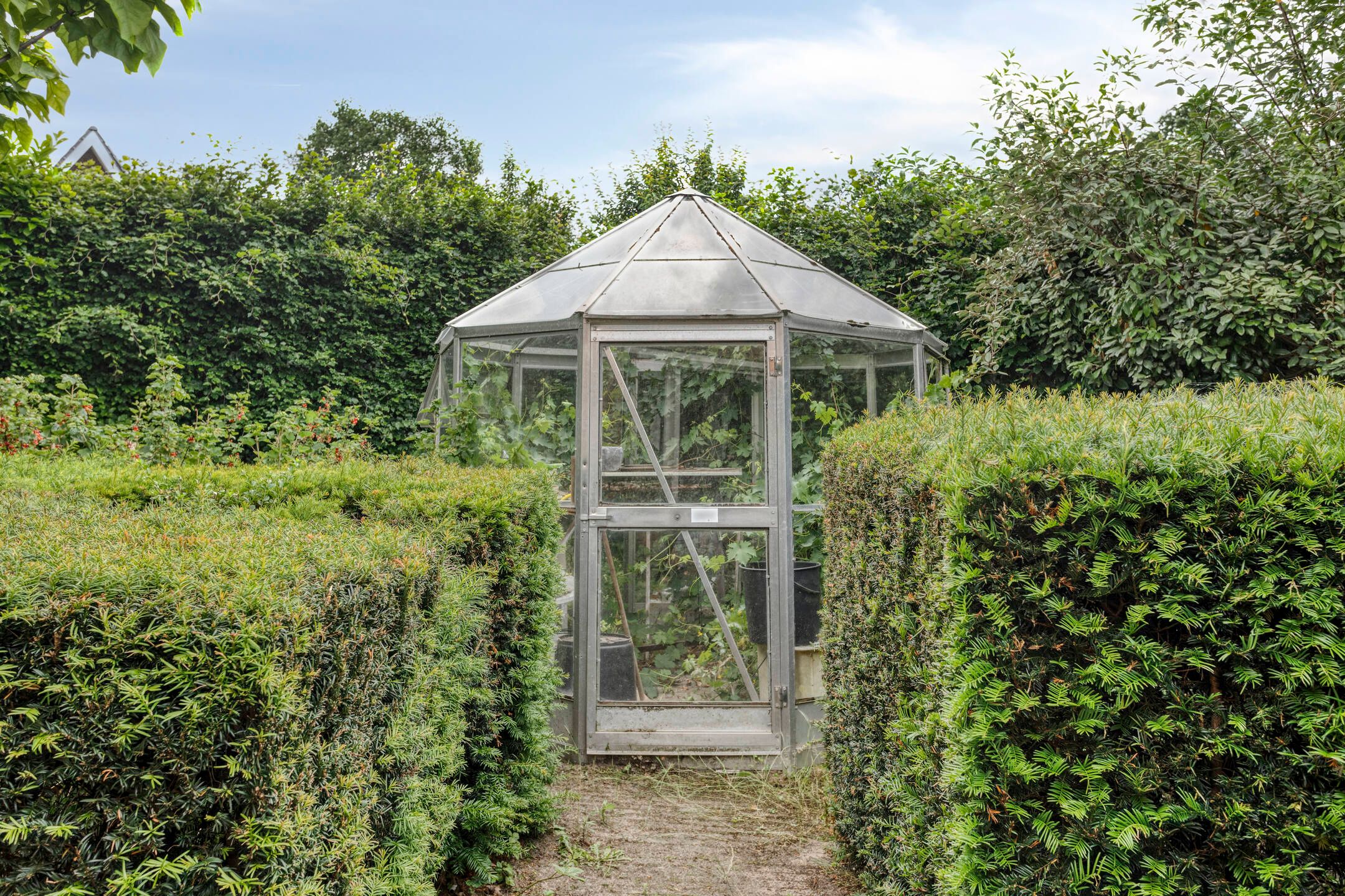 Foto 24 van Homerusstraat 98