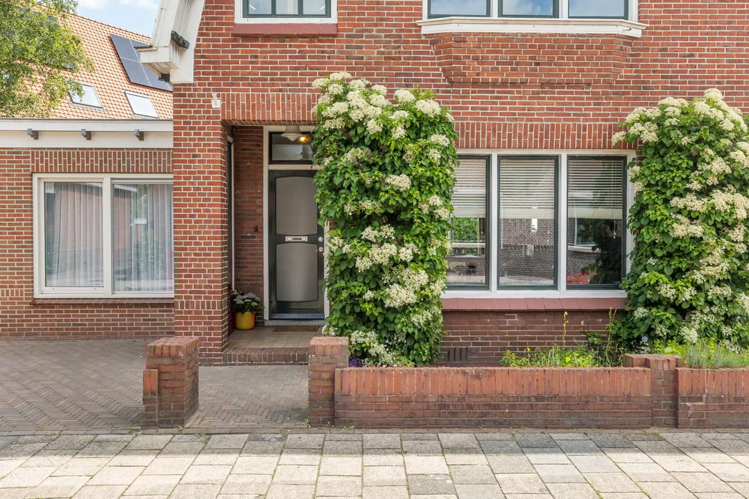 Foto 31 van Ds. Petersenstraat 8