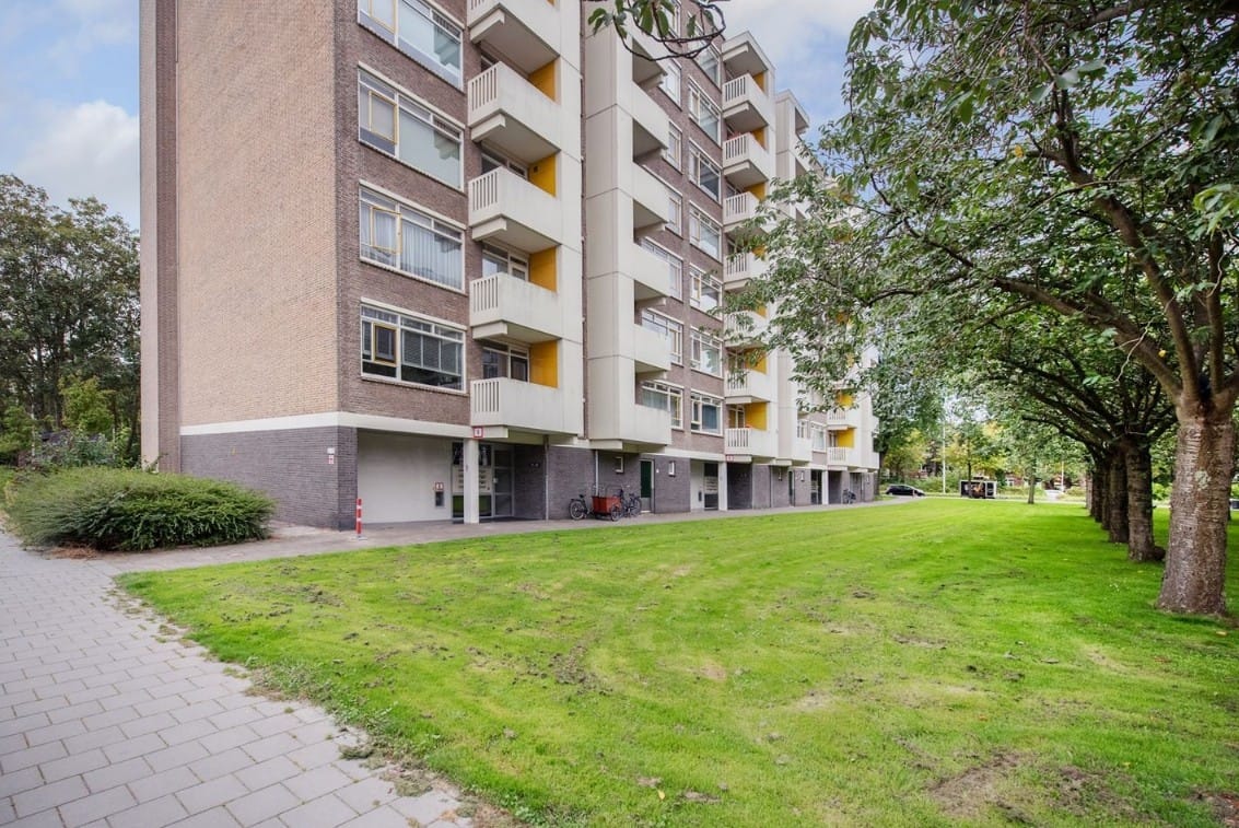 Foto 4 van Suzannaland 88