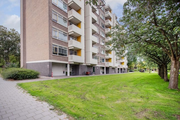 Foto 4 van Suzannaland 88