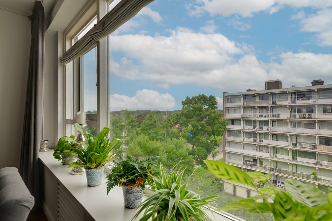 Foto 16 van Suzannaland 88