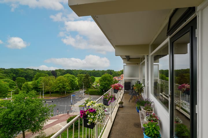 Foto 28 van Suzannaland 88