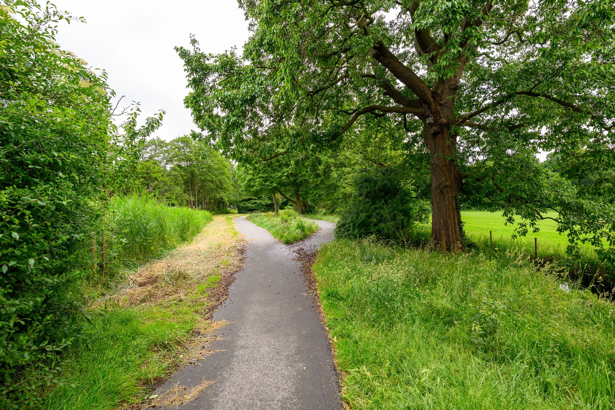 Foto 33 van Suzannaland 88