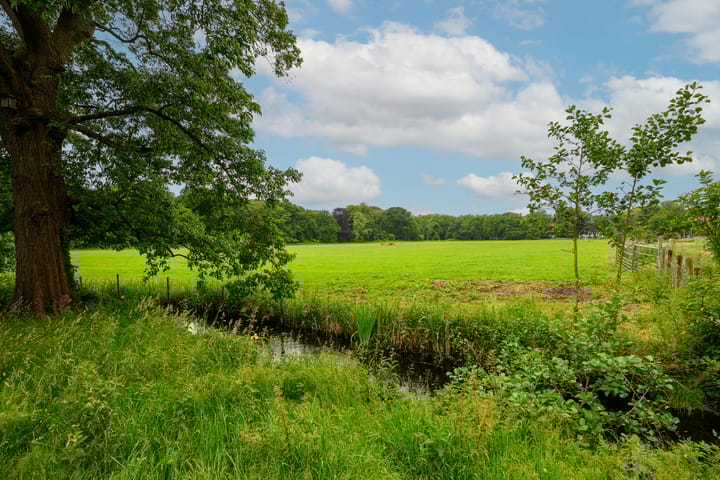 Foto 34 van Suzannaland 88