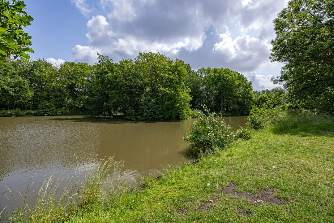 Photo 46 of Nadine Gordimerlaan 11
