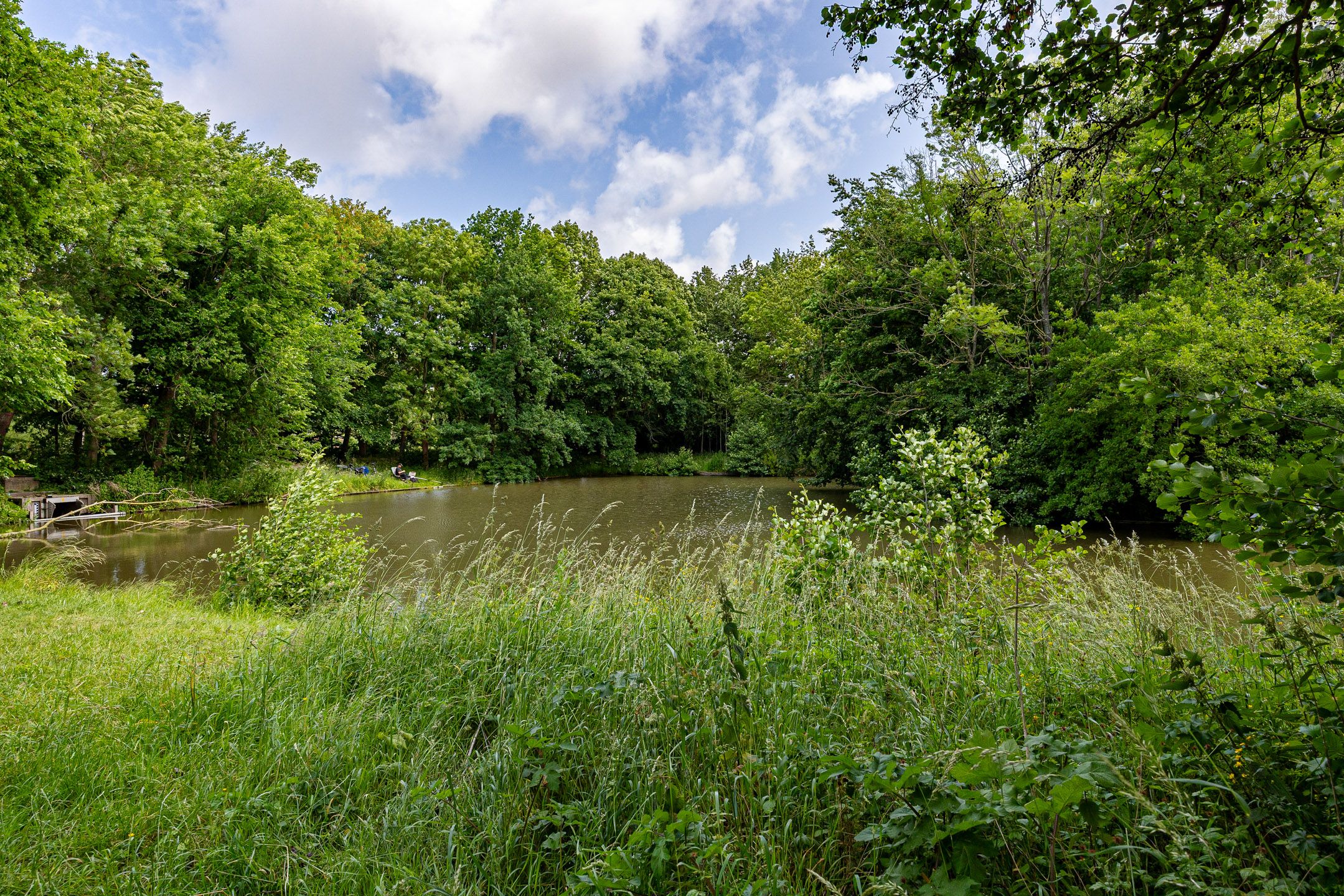 Photo 45 of Nadine Gordimerlaan 11