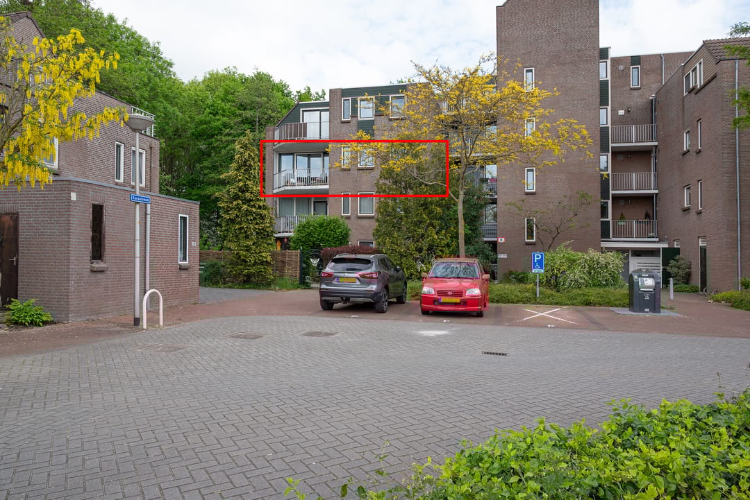 Foto 1 van Koraalzwam 119