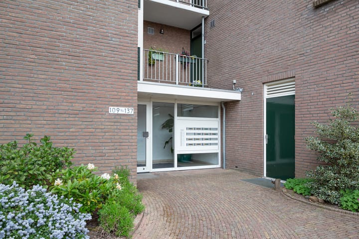 Foto 2 van Koraalzwam 119